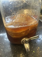 Extra Large ORGANIC kombucha