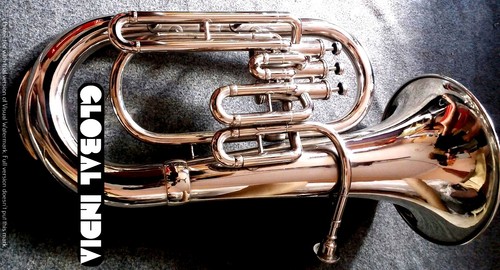Euphonium valve horn - horn, of