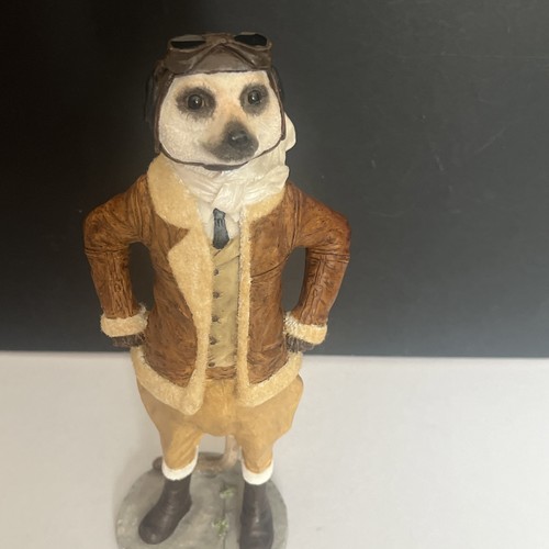 Country artists meerkat - artists,
