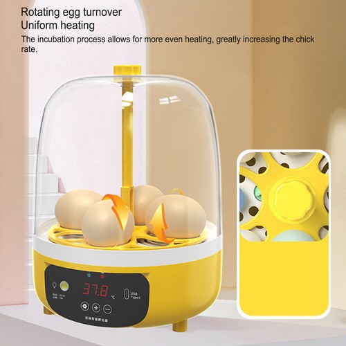 Mini chicken egg incubator - incubator, 4
