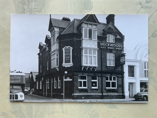 Spotted cow brickwoods - brickwoods, lost