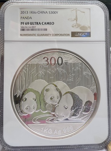 2013 silver panda - 1, kilo