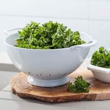 Zeal Kitchen Colander Strainer, High Quality Melamine Colander with Handles 