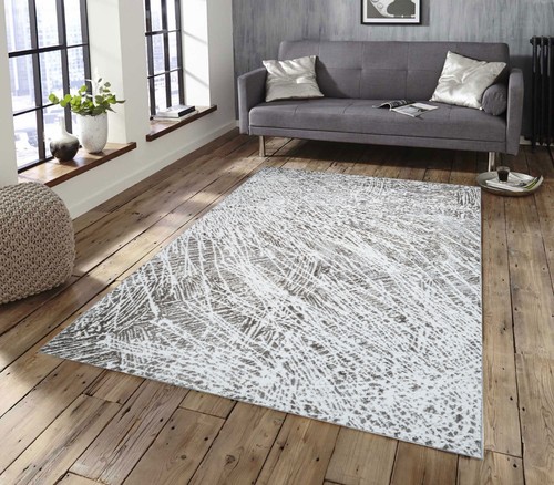 Modern living room large - living, rugs