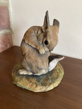 Border Fine Arts Rabbit Scratching 001A Victor Hayton
