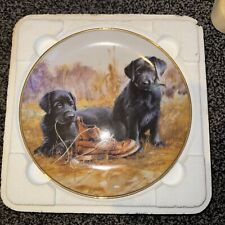 Black Labrador Puppies Collector Plate Beginners' Luck Franklin Mint Limited Edn