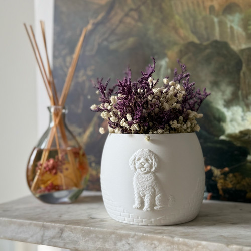 Self watering plant - self, pot