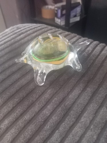 Alum bay glass turtle