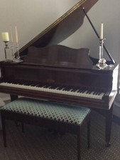 Gorgeous George Steck Baby