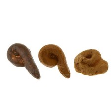 Fake Dog Really Poop Doggie