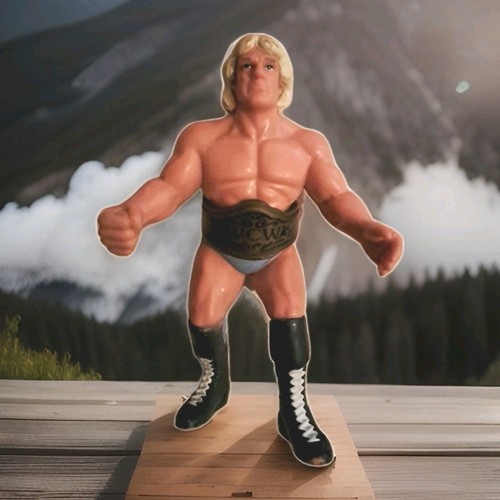 1990 galoob wcw - flair, one