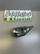 flashing cabochon kawasaki