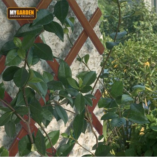 Expanding brown wooden trellis - expanding,