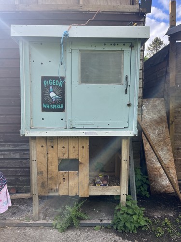 Pigeon kit box - pigeon,