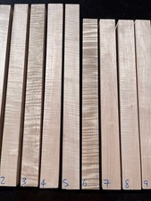 CURLY FLAME MAPLE 48-55mm
