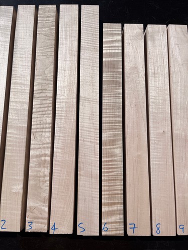 Curly flame maple 55mm - curly,