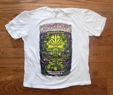 Summer Camp Music Festival