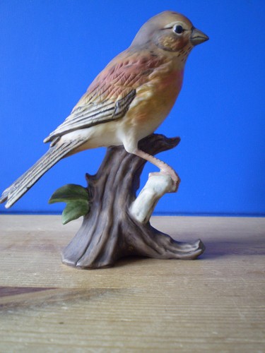 Linnet porcelain bird - linnet,