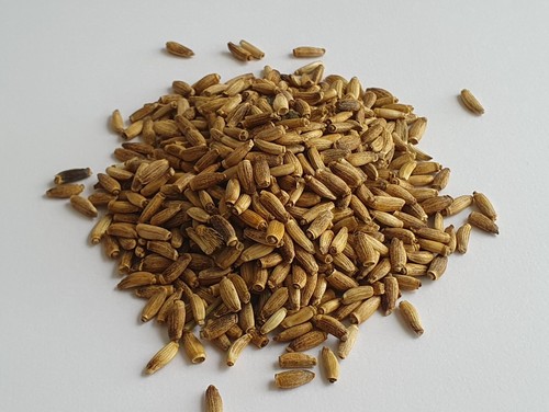 100g bird treats food budgie - bird,