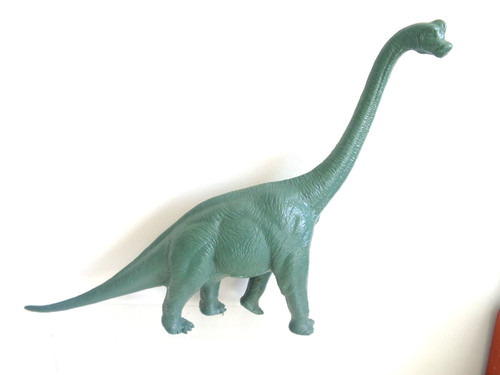 Vintage natural history museum - vintage,