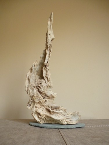 Driftwood sculpture 48cm high - driftwood,