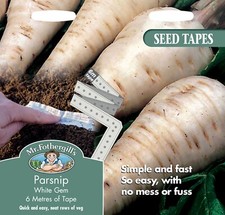 Parsnip Vegetable Seed Tapes