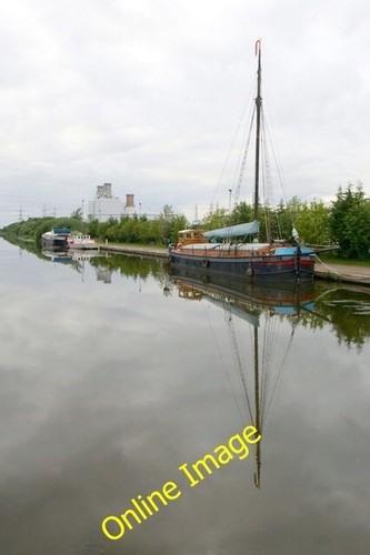 Photo 6x4 spider - 6x4, the