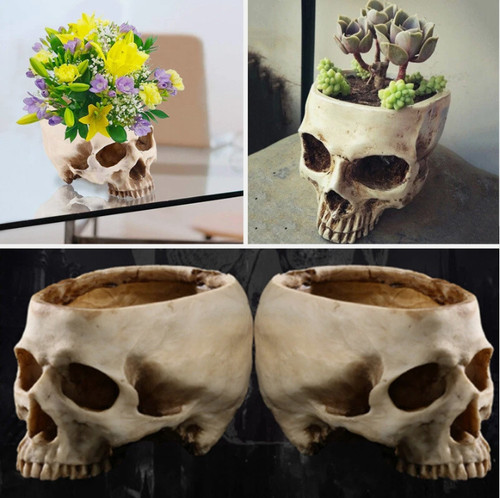 Human skull flower - flower, vase