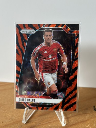 Diogo dalot manchester utd - dalot,