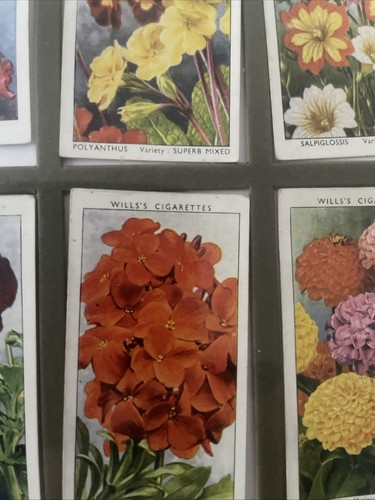 1939 wills cigarette cards - 1939,