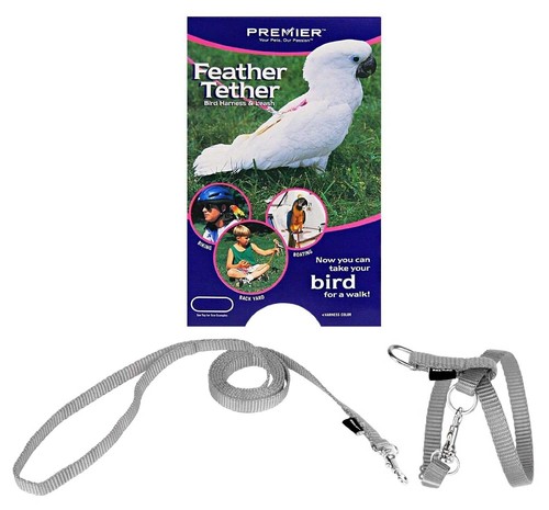 Premier feather tether bird - premier,