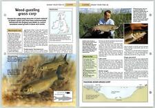 Grass Carp - Coarse Know Your Fish - The Art Of Fishing Page