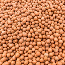 Clay Pebbles Gardening Creamsite for Plants