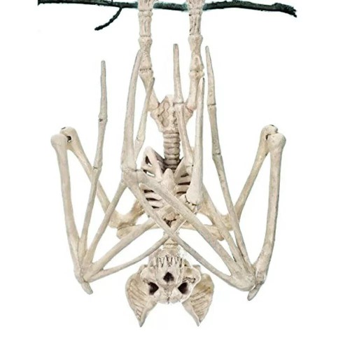 Seasonal halloween bat - seasonal,