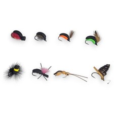 Carp zig bug - zig, #8