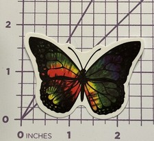 Rainbow Tye Dye Butterfly -