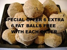 Suet Fat Balls for birds 10 Energy Feed Garden Bird Food  with 6 free FAT BALLSX
