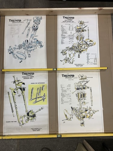 Triumph,posters,original,Tiger