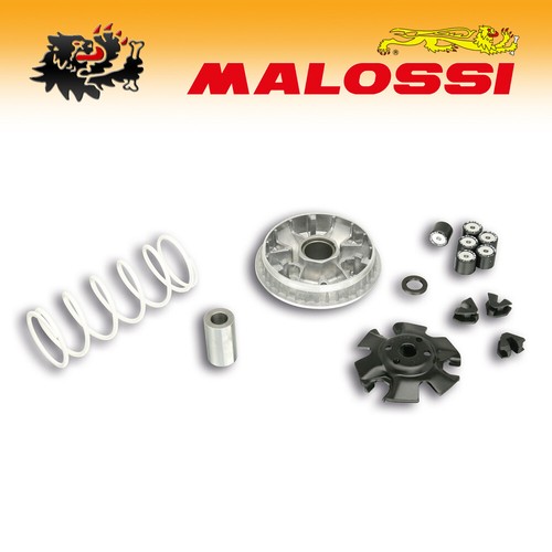 5113813 malossi variator - 5113813,