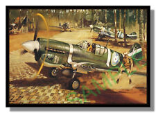 Curtiss P-40 Kitty Hawk, RNZAF Guadalcanal framed picture free p&p UK
