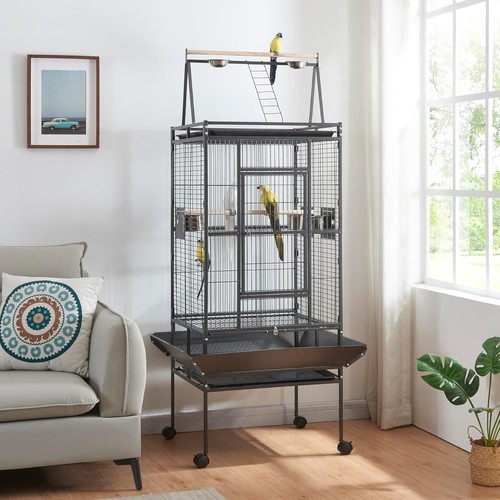 Large bird cages - bird, cage