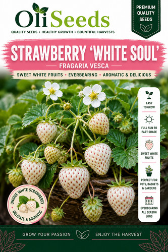 White soul alpine - white, strawberry
