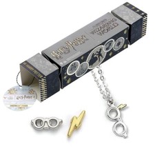 Harry Potter Christmas Gift