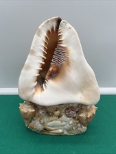 VINTAGE 1960's FLORIDA