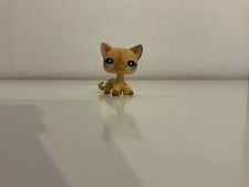 ⭐️littlest Pet Shop/