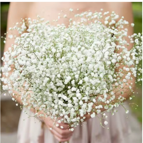 Artificial gypsophila flowers - artificial,