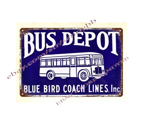 Blue bird coach lines - blue,