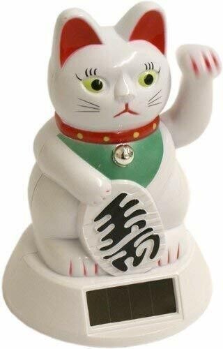 White chinese solar - chinese, cat