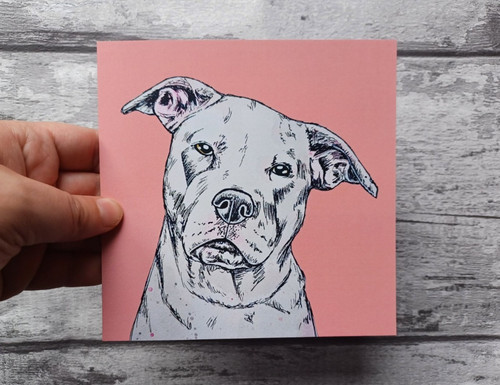 American bulldog greetings - bulldog,