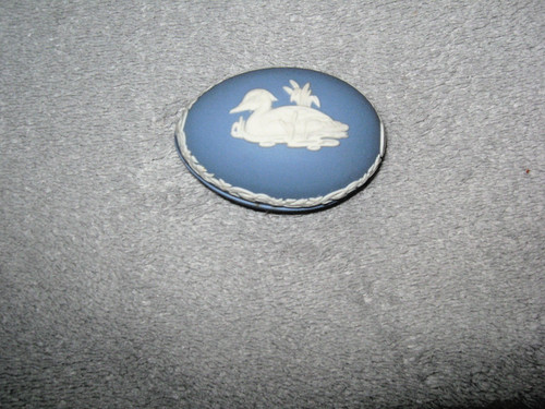 Wedgwood blue jasper duck - jasper,